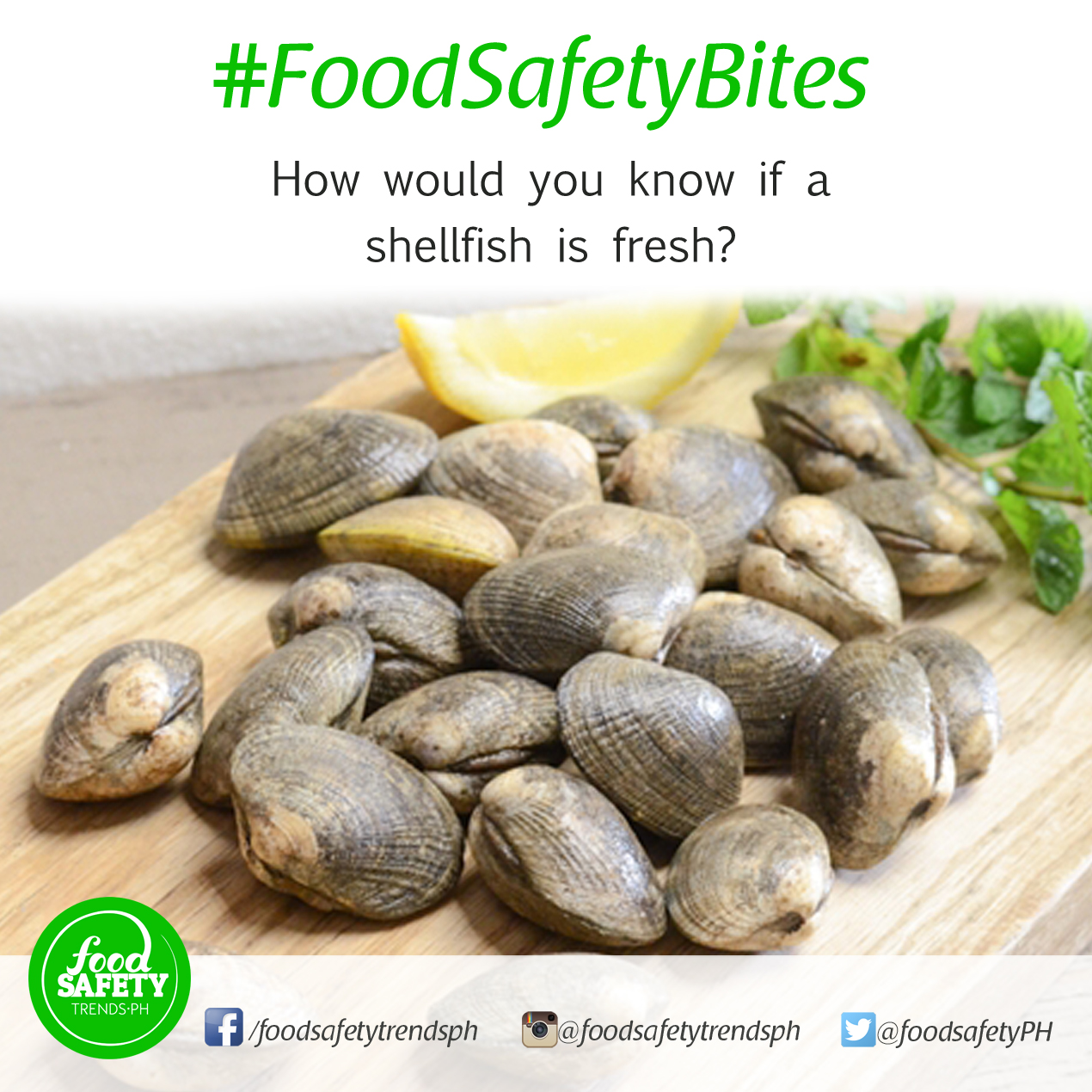 How would you know if a shellfish is fresh?