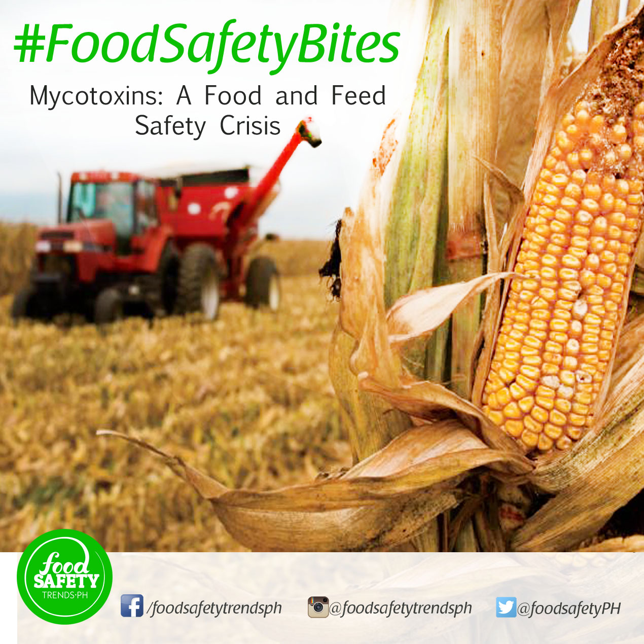 Mycotoxins : A Food and Feed Safety Crisis